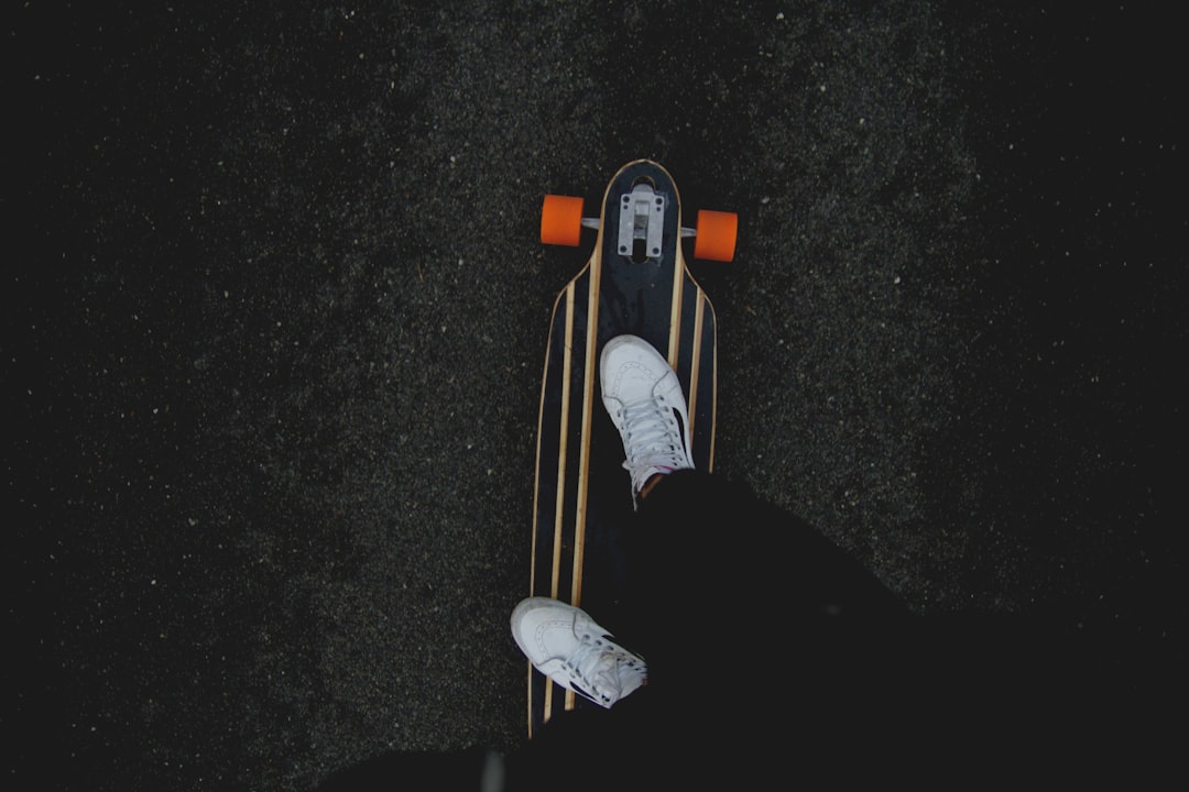 Photo Kangaroo, skateboard